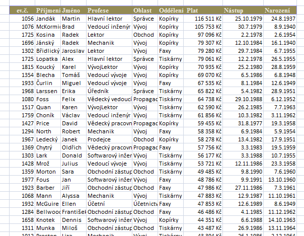Importovaná data do tabulky v Excelu