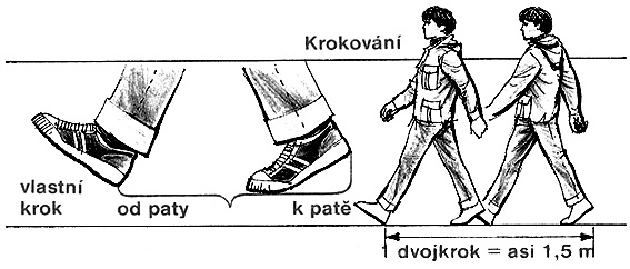 krokování